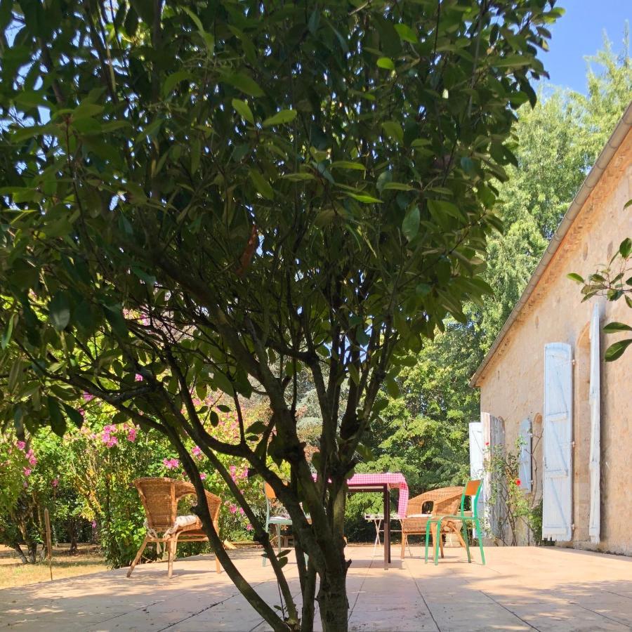 La Chartreuse Bed & Breakfast Larroque-Engalin Exterior photo